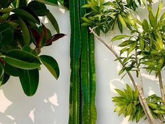 -AHAVA·Fang Baking Studio