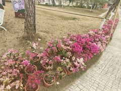 -盈香心动乐园