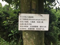 -九鲤湖风景区