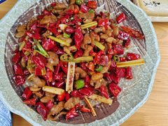 -青城甲(青城山店)