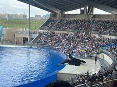 -上海海昌海洋公园