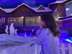 -世界之窗阿尔卑斯冰雪世界