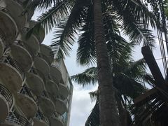 -东郊椰林