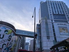 -乐天免税店(明洞店)