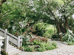 -乌山风景区