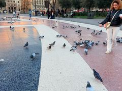 -加泰罗尼亚广场