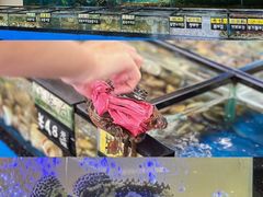 -南燕湾渔家码头