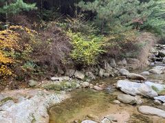 -王顺山国家森林公园