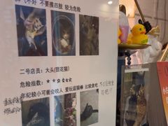 -逃脱反斗城沉浸剧情密室(北京路店)