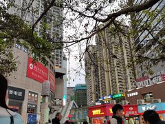 -张鸭子重庆特产卤味小吃(未来国际店)