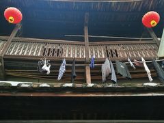 -福建土楼（华安）旅游区•大地土楼群