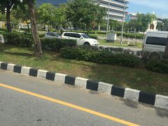 -东芭乐园