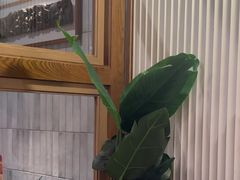 -阿季·当季酒食(后江埭店)