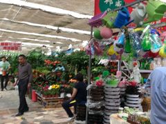 -秦美花卉(天朗·莱茵小城2期店)