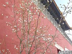-东华门大街小区
