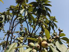 -中国移动南方基地