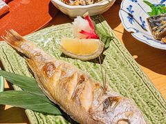 -镹·鱼料理  国产鱼使用店