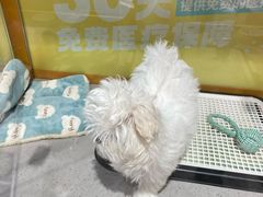 -弄堂里(滨江龙湖天街店)