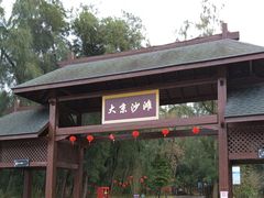-大京沙滩
