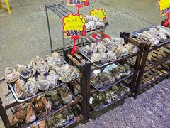 -蚝专家(北滘店)