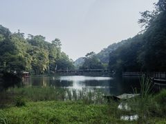 -青城山