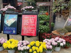 -天怡·鱼工厂(临江店)