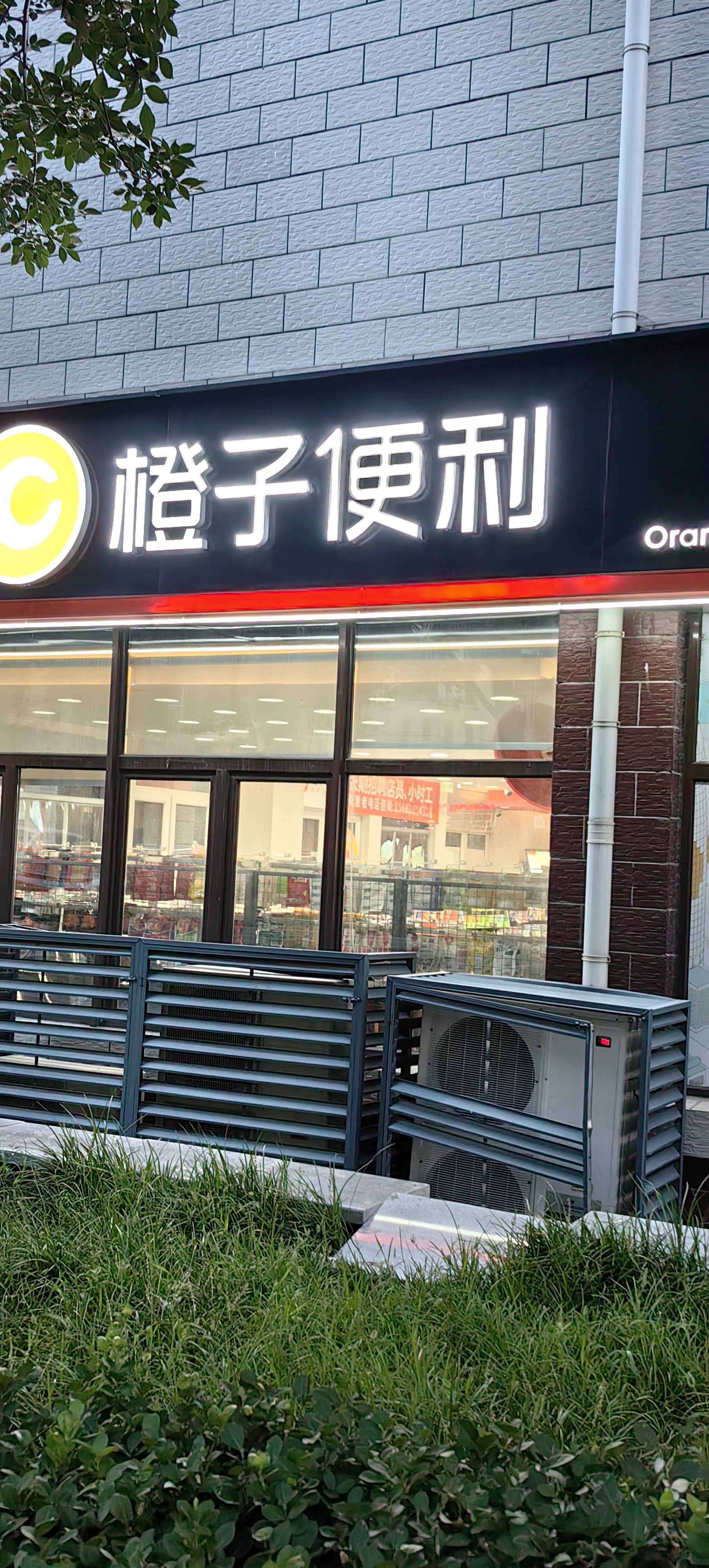 便利店新宠物