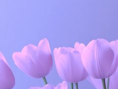 -紫丁香饭店-中餐厅