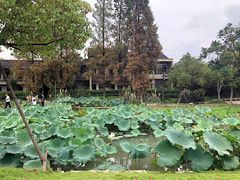 -乌村