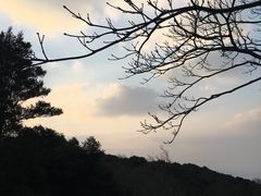 -普陀山慧济禅寺