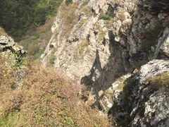 -牛背梁国家森林公园