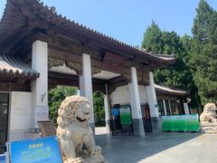 -团结湖公园