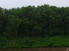 -人杰湖公园(地铁站)