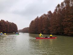 -上海海湾国家森林公园