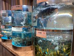 -老船舫·现做活鲜鱼馆(东郊记忆店)