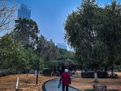 -沙河三洞古桥公园