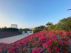 -观澜湖生态运动公社