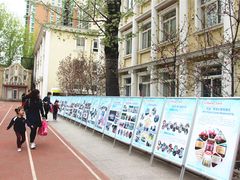 -北京精诚实验小学