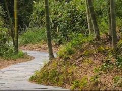 -崀山风景名胜区