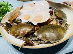 -诺莱仕游艇会