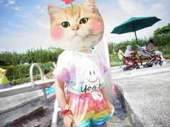 -季高兔窝窝亲子园(上海薰衣草公园店)