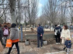 -长白岛森林公园