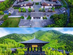 -大唐贡茶院