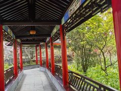 -南汇桃花村