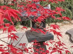 -西安电影制片厂