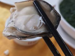 桑拿蚝-蚝专家(北滘店)