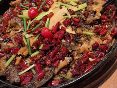 -老板恋上鱼(恒隆广场店)