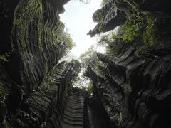 -梭布垭石林景区