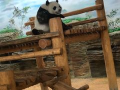 -西霞口神雕山野生动物世界