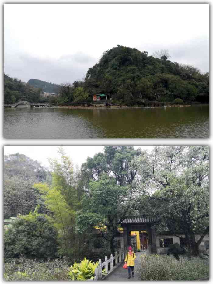 "-大众点评移动版